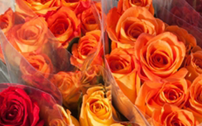 Flower packaging