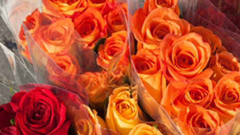 Flower packaging